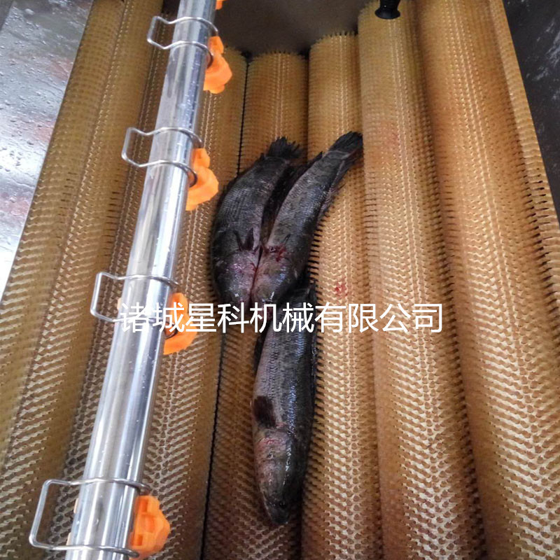 毛棍焕鲜・净护海虹：解密海虹毛棍清洗机的去污巧思(4)