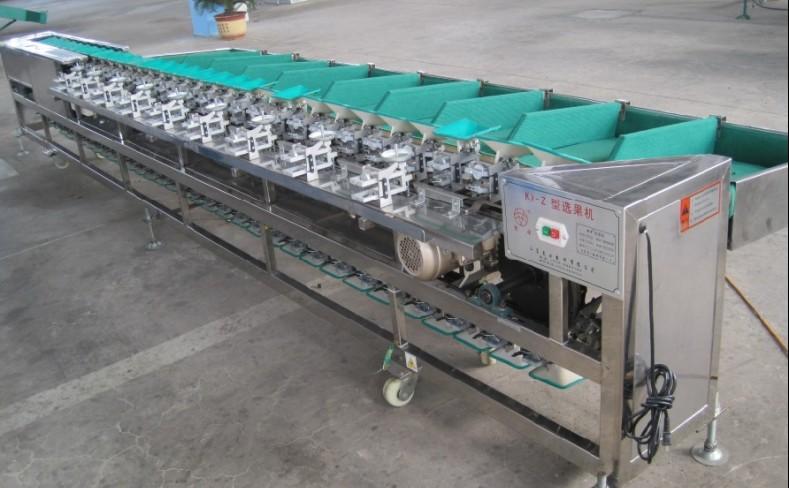 果蔬加工选设备,连续式毛辊、柑橘苹果平行清洗机与成套设备该怎么选?(1) 果蔬加工选设备,连续式毛辊、柑橘苹果平行清洗机与成套设备该怎么选?(1)