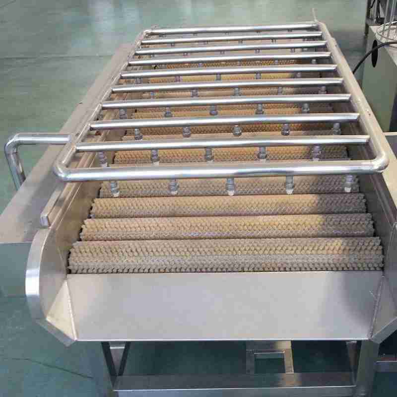 肉类预处理清洗，专用毛辊清洗设备能胜任吗？(2)