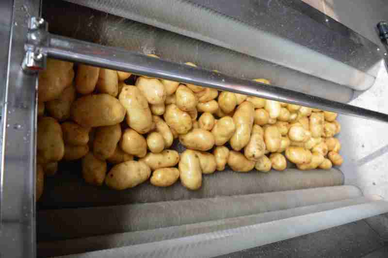 肉类预处理清洗，专用毛辊清洗设备能胜任吗？(5)