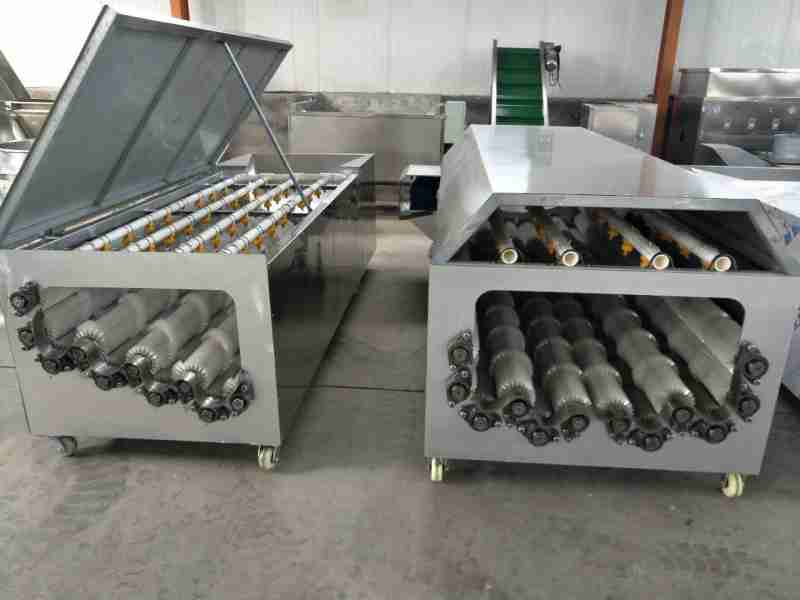 果蔬薯类清洗，专用毛棍清洗设备适配吗？(2)