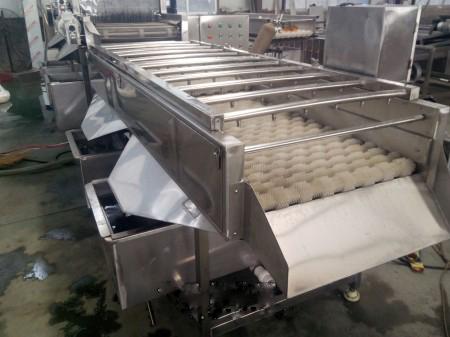 畜禽副产品清洗选哪种？猪蹄羊头专用毛辊设备值得选吗(2)