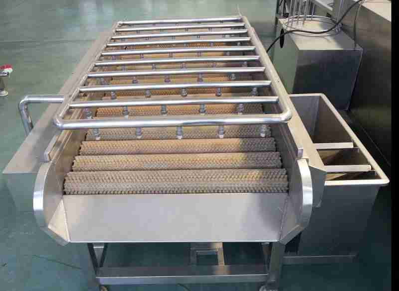 畜禽副产品清洗选哪种？猪蹄羊头专用毛辊设备值得选吗(4)