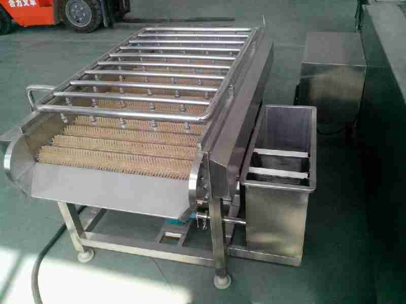 多品类食材清洗，专用毛辊清洗设备(3)