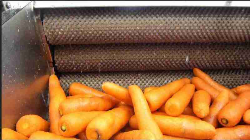 多品类食材清洗，专用毛辊清洗设备(4)