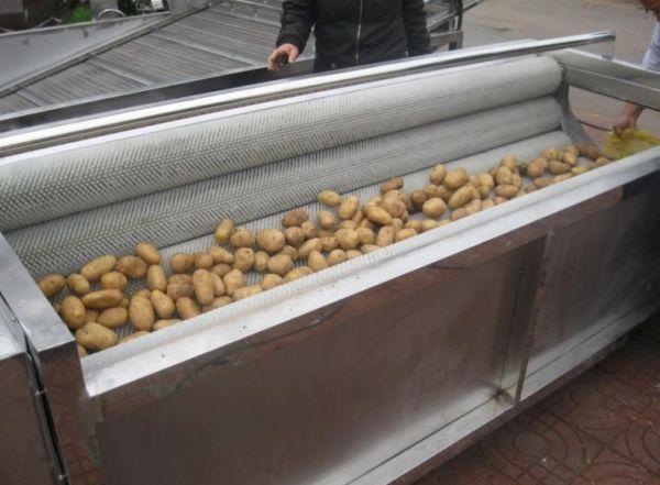 不同食材清洗怎么选？专用毛刷清洗设备(3)