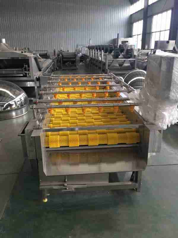 根茎海鲜清洗怎么选？专用毛辊清洗设备(1)