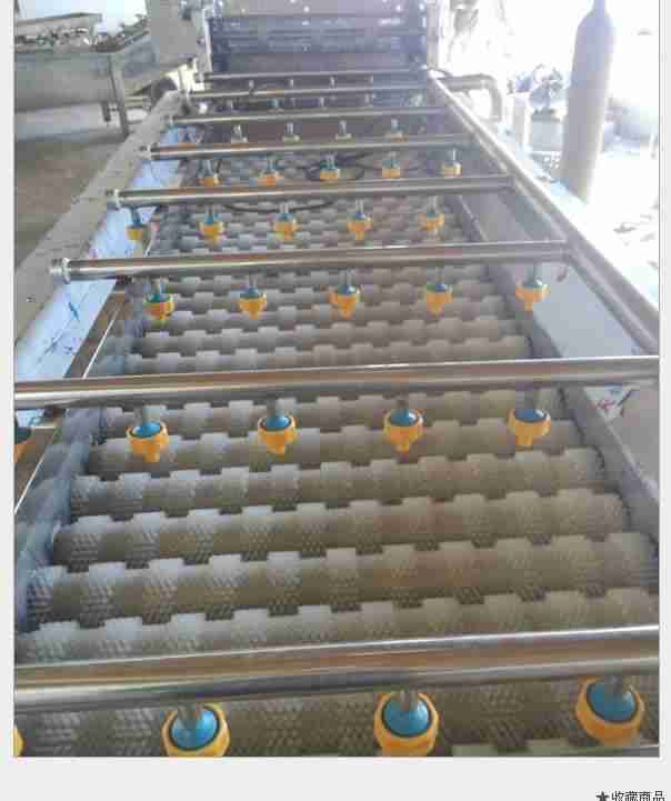 根茎海鲜清洗怎么选？专用毛辊清洗设备(2)