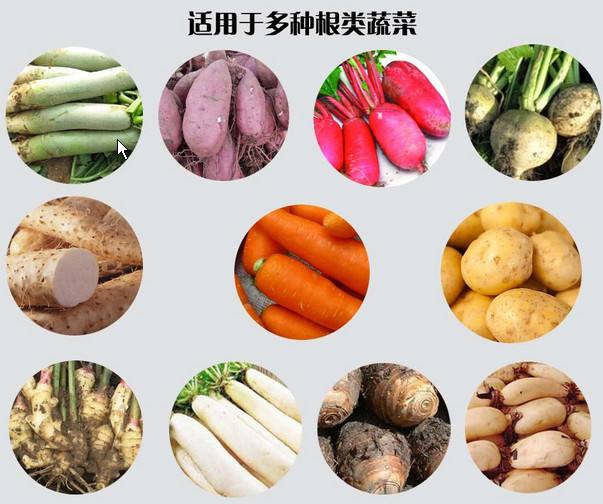 根茎海鲜清洗怎么选？专用毛辊清洗设备(3)