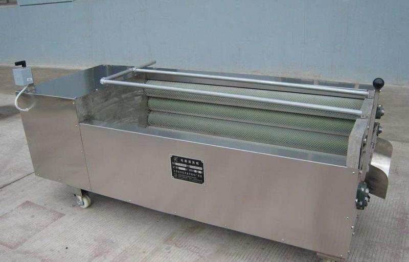 多品类食材加工，专用毛棍清洗去皮设备(3)